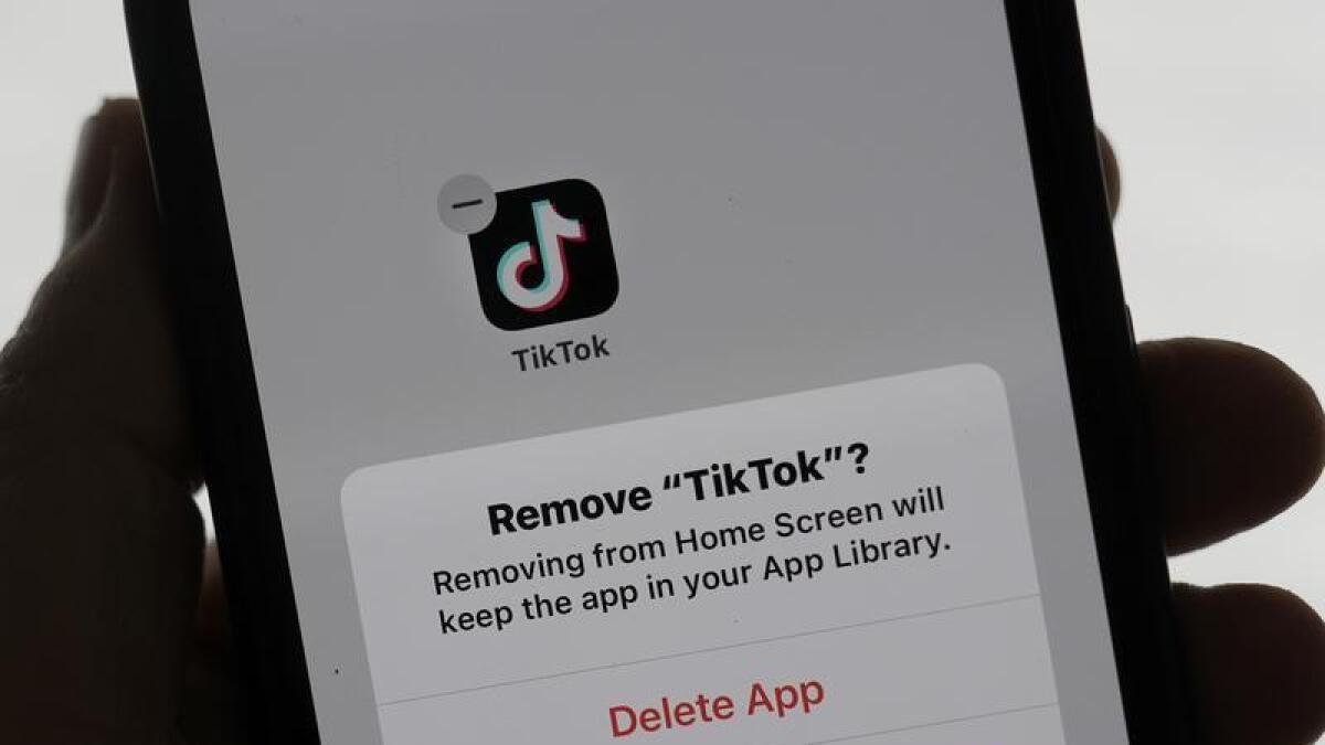 TikTok stops working for US users