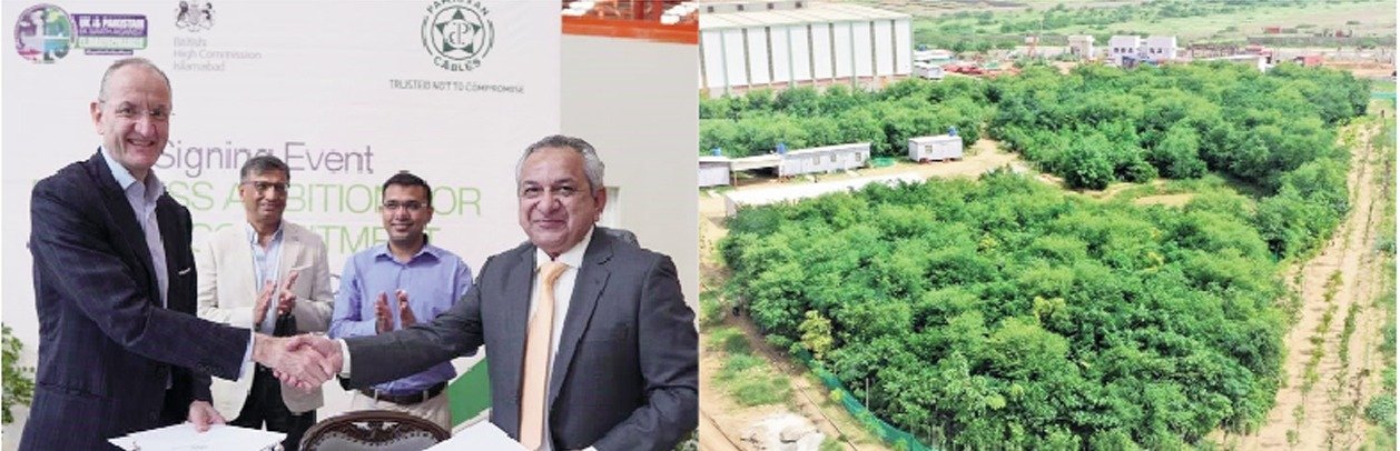 Championing Sustainable Change in Industry