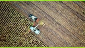 Satellite Technology to Resolve Crop Data Disputes in Punjab